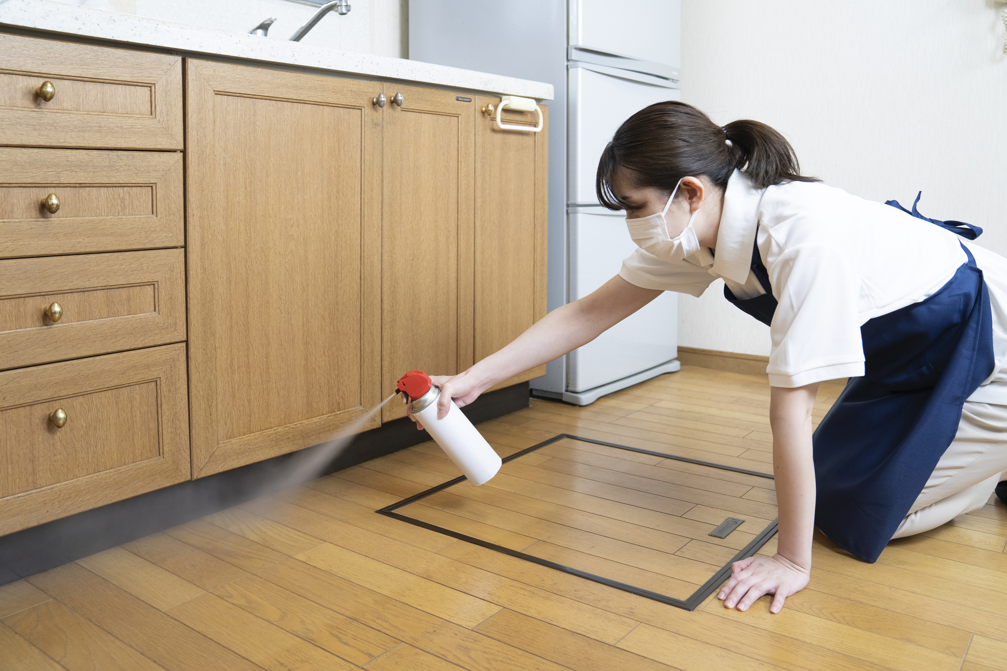 一戸建ての虫対策は?侵入経路や新築住宅の対策を解説